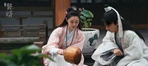 赘婿吃瓜花絮搞笑,笑料连连，欢乐无限