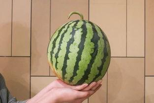 最全的吃瓜网,最全吃瓜网带你领略明星幕后故事