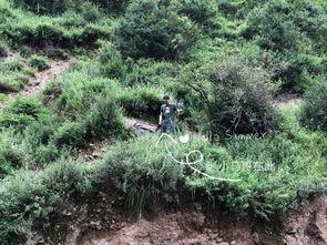 甘肃甘南吃瓜,探寻甘肃甘南的甜蜜诱惑