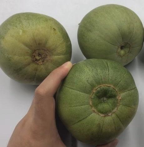 甜瓜本瓜不是吃瓜,非食用之果，却成就美味传奇