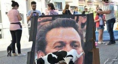 老板吃瓜吗内涵段子,职场风云再起