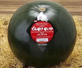 专业吃瓜群众配音,专业吃瓜群众带你领略幕后风云