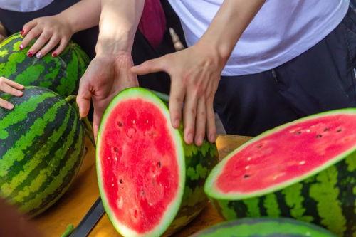 摘瓜实现吃瓜自由,实现吃瓜自由的快乐之旅