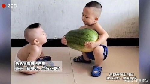 哥瑞利吃瓜,揭秘娱乐圈的“瓜田”趣事