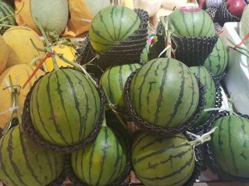 吃瓜就好的图片,吃瓜群众视角下的趣味生活瞬间