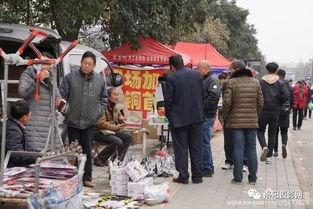 吃瓜关林站,探寻美食与文化的交汇之地