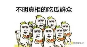 吃瓜群众看了什么