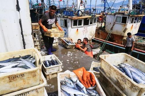 渔民出海台湾吃瓜视频,视频曝光引网友热议