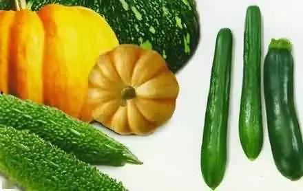 官场吃瓜,揭秘官场背后的吃瓜故事