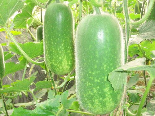 潼潼吃瓜,揭秘娱乐圈幕后故事